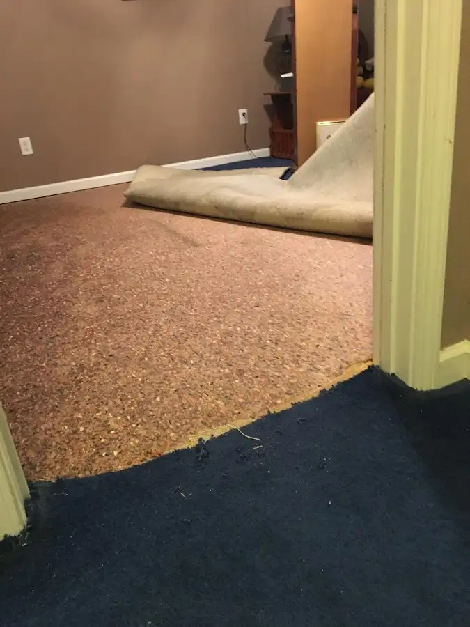 Carpet pad removal revealing water damage during Drying & Dehumidification in Celina